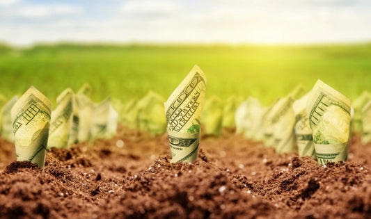 Unleashing Potential: Buying Vacant Land as an Investment