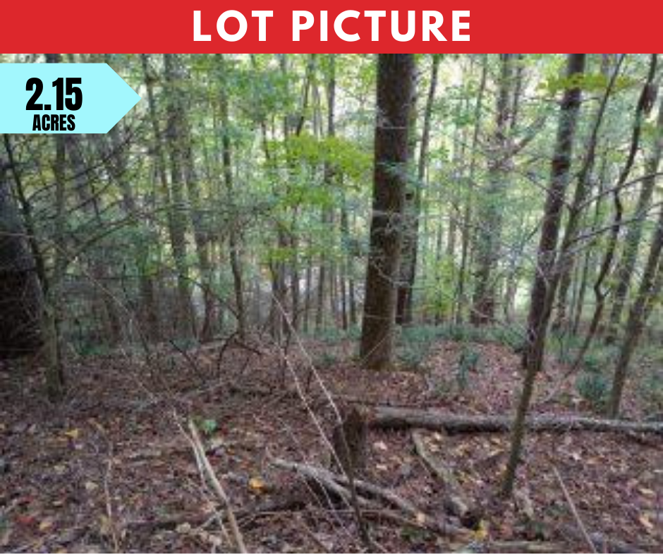Western North Carolina - Vacant and Unrestricted Land on the New River
