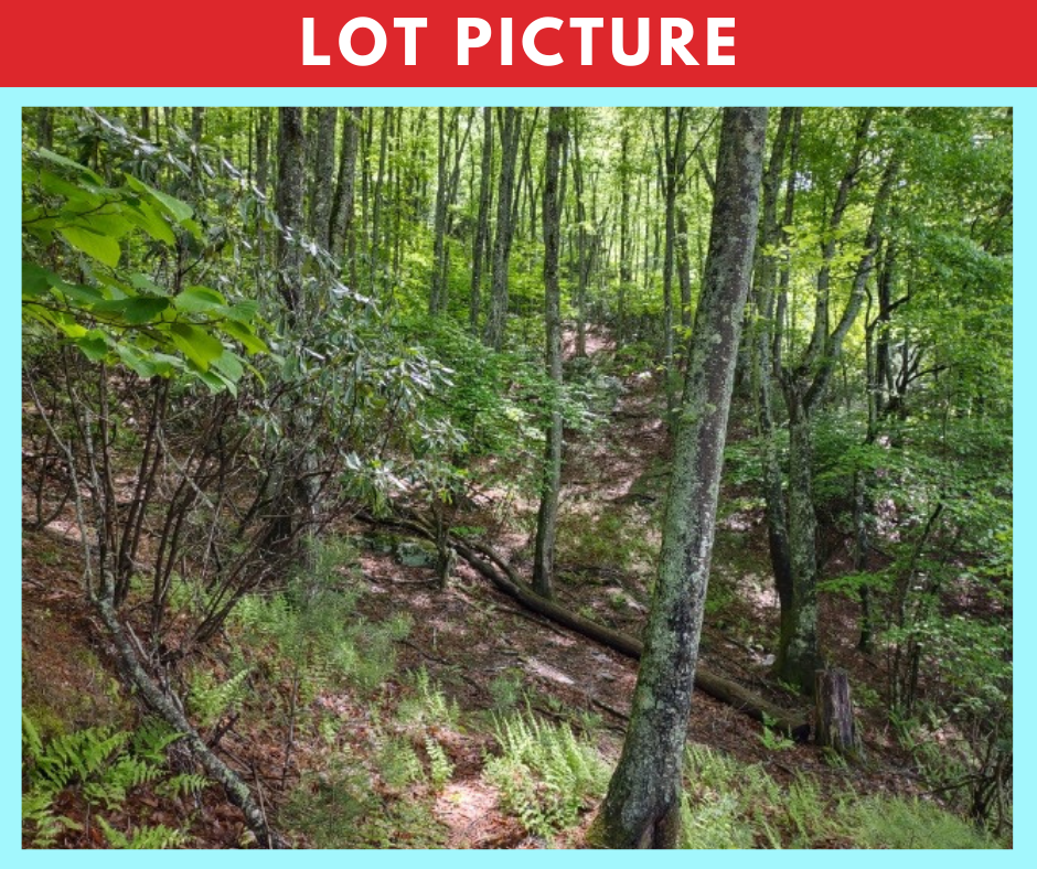 Spectacular river and mountain views * Ashe County, NC * 5 acres * Cash price $74,997 * Call or text now! 561-665-7029