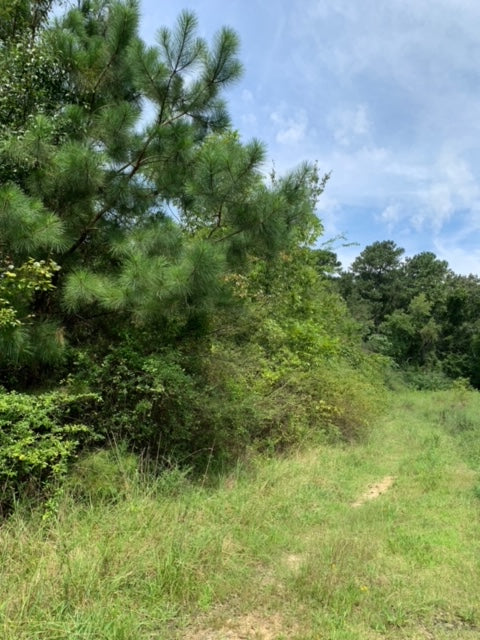 Commercial Land Investment Opportunity