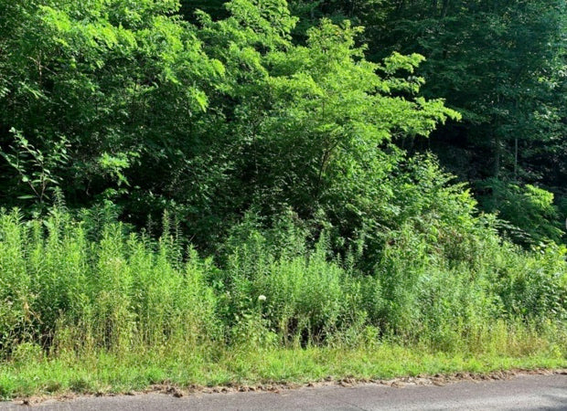 Commercial Land Investment Opportunity