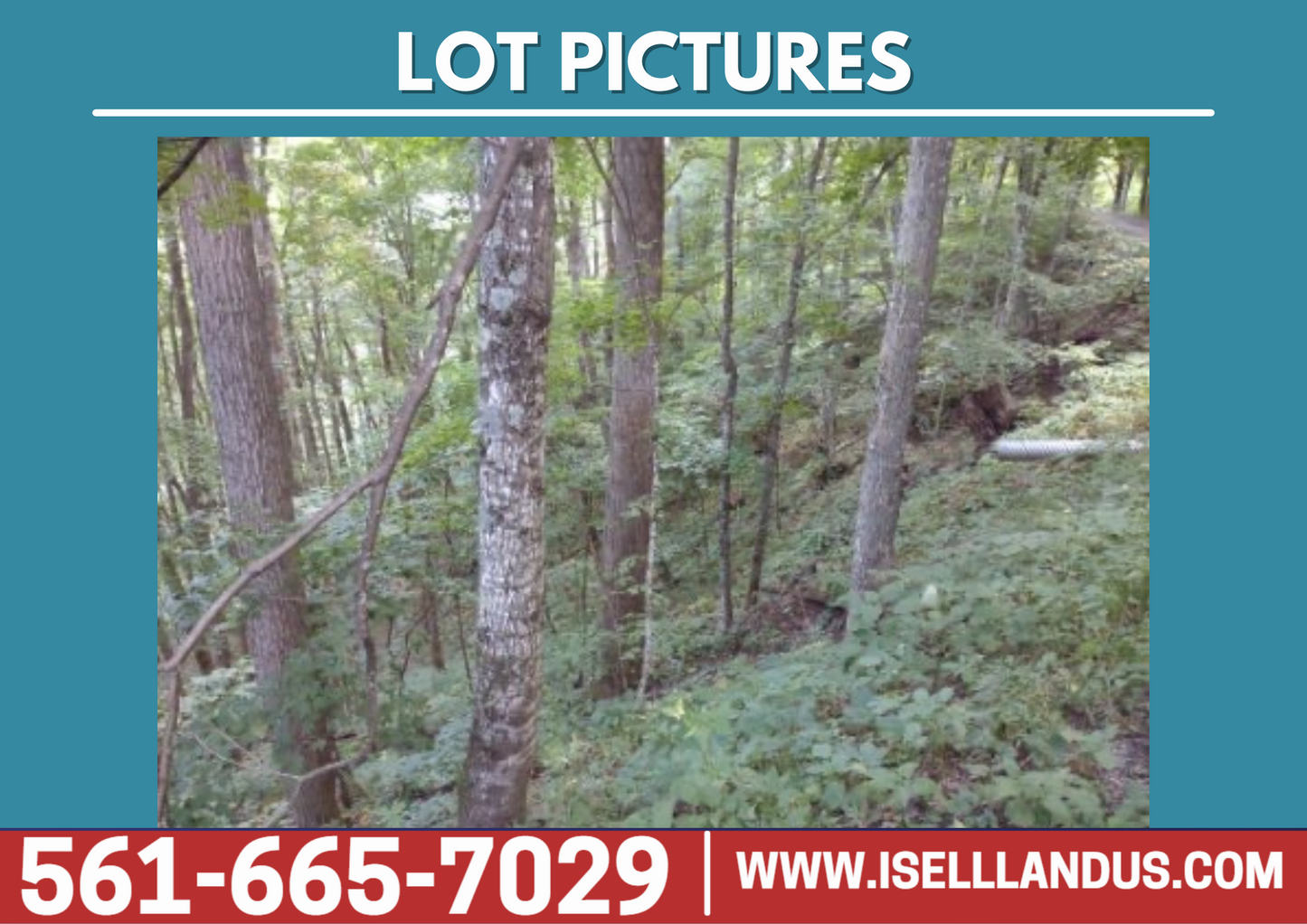 Recreational Enthusiasts - NO HOA - Western North Carolina-