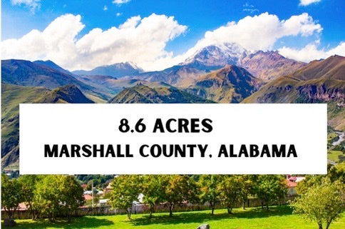 Commercial Land Investment Opportunity