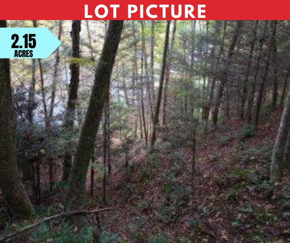 Western North Carolina - Vacant and Unrestricted Land on the New River