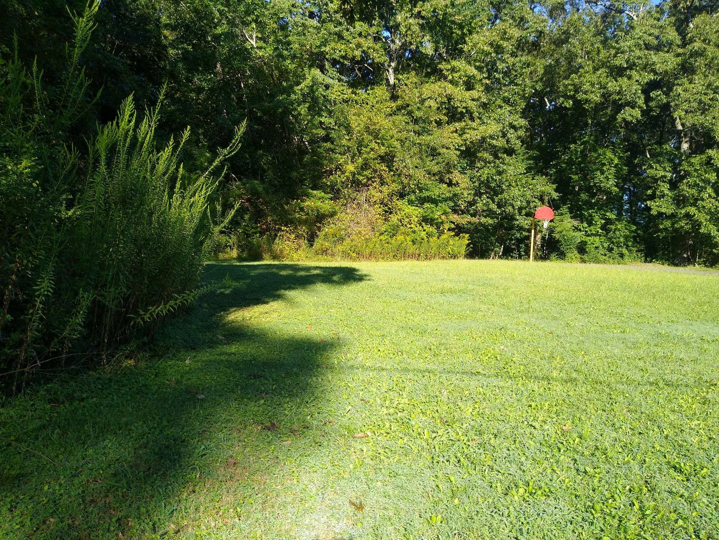 Commercial Land Investment Opportunity