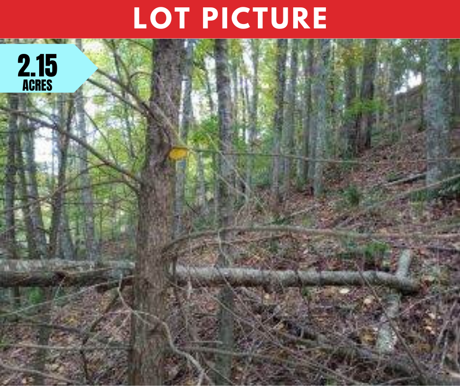 Western North Carolina - Vacant and Unrestricted Land on the New River
