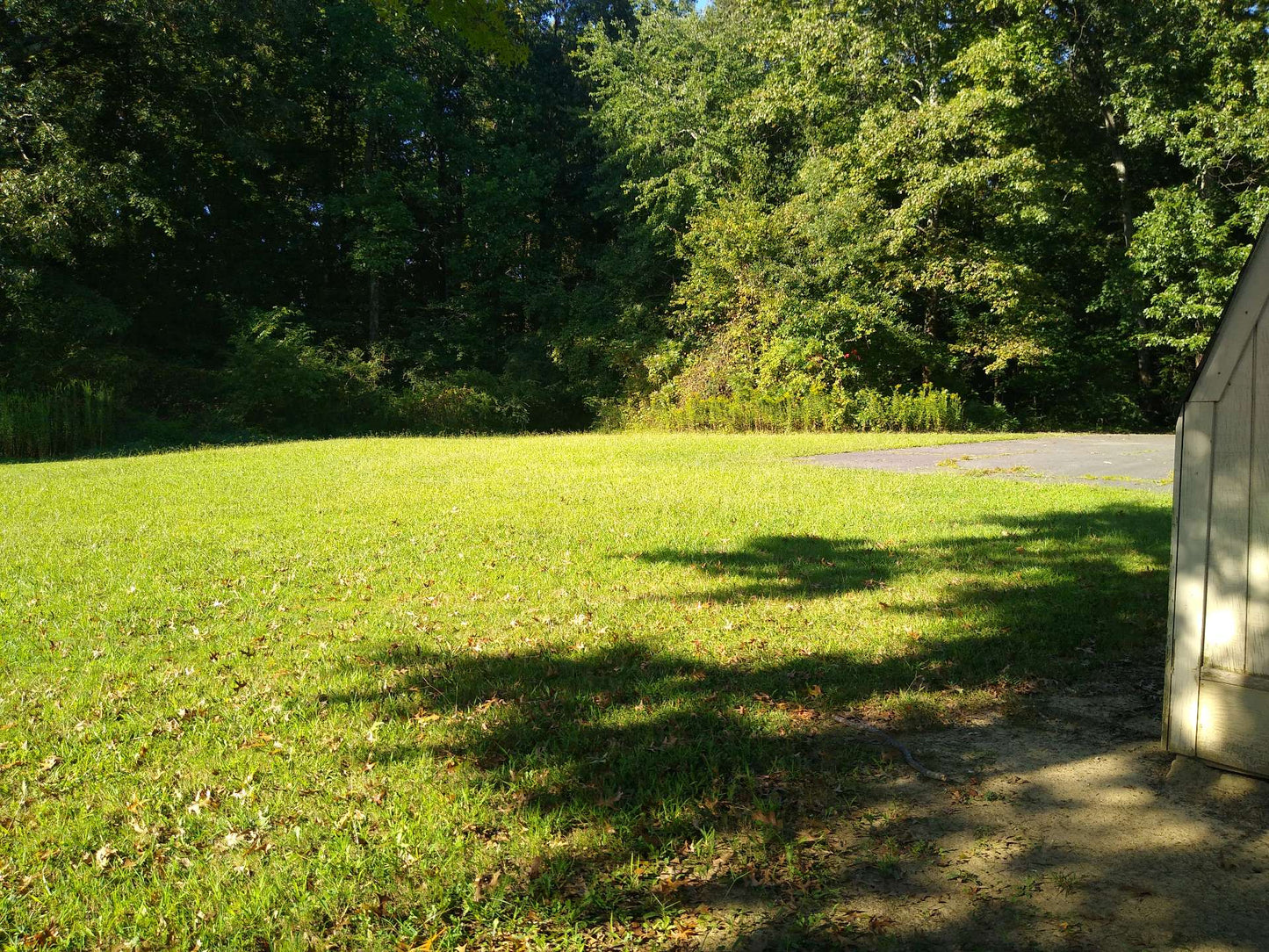 Commercial Land Investment Opportunity