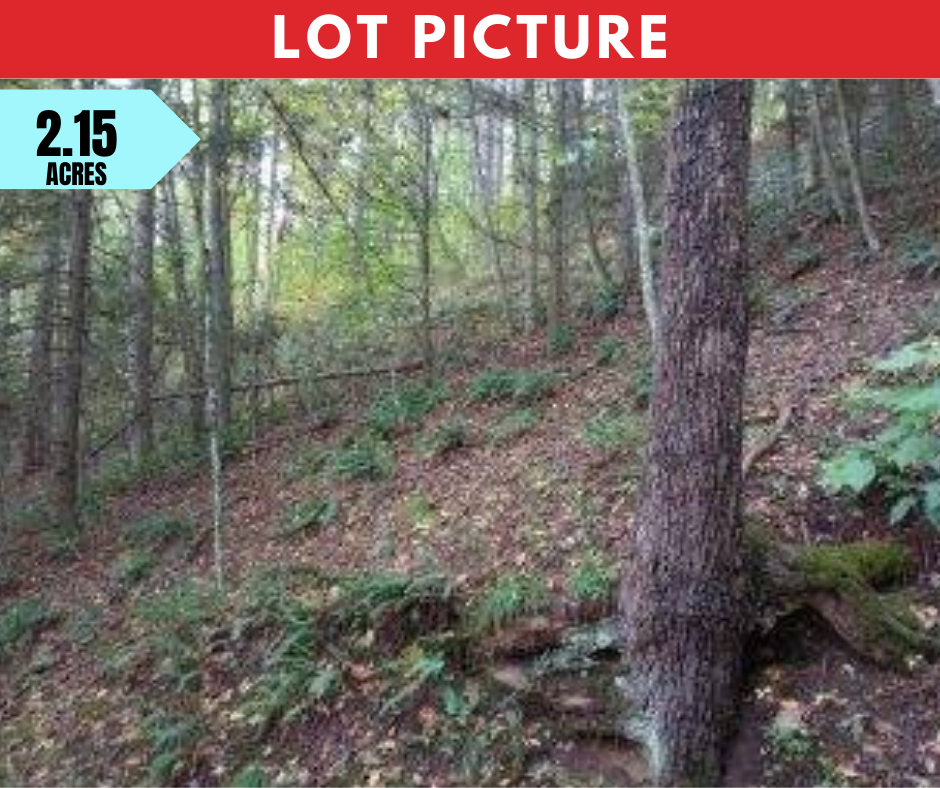 Western North Carolina - Vacant and Unrestricted Land on the New River