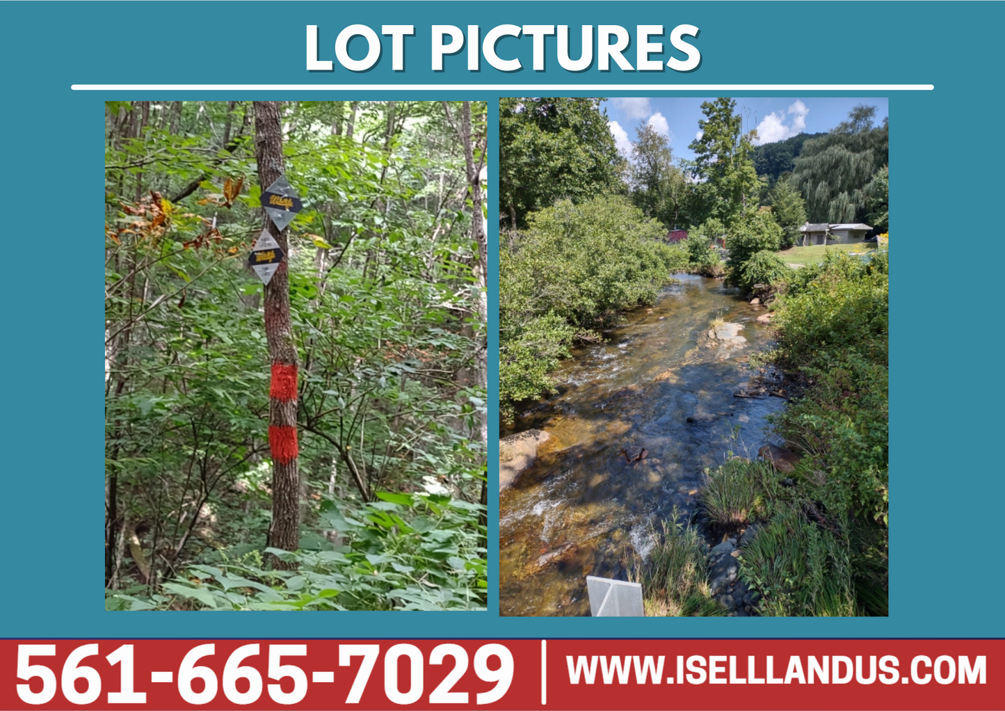 Recreational Enthusiasts - NO HOA - Western North Carolina-