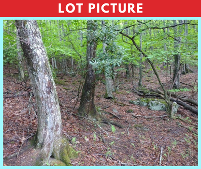 Spectacular river and mountain views * Ashe County, NC * 5 acres * Cash price $74,997 * Call or text now! 561-665-7029