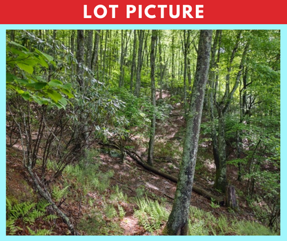 Spectacular river and mountain views * Ashe County, NC * 5 acres * Cash price $74,997 * Call or text now! 561-665-7029