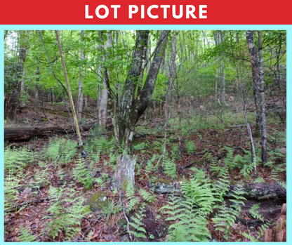 Spectacular river and mountain views * Ashe County, NC * 5 acres * Cash price $74,997 * Call or text now! 561-665-7029