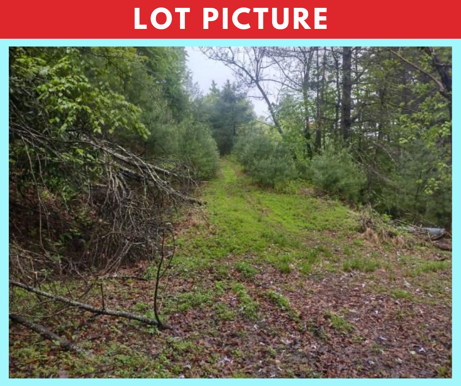 Spectacular river and mountain views * Ashe County, NC * 5 acres * Cash price $74,997 * Call or text now! 561-665-7029