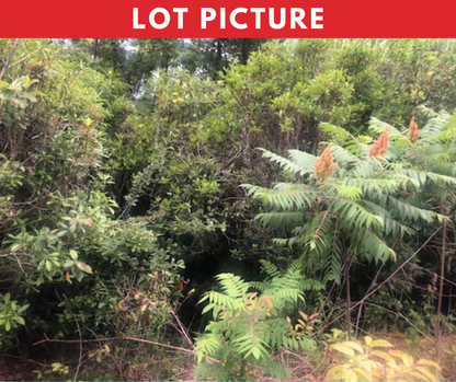 Cash Price $4K-Golf Club Community With Mountain Views in Rabun County, Georgia! - Underground Utilities in Place - Paved Road Access - Rent to Own