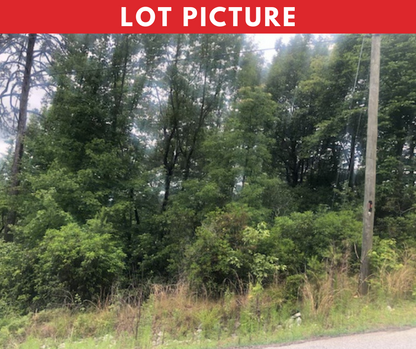 Cash Price $4K-Golf Club Community With Mountain Views in Rabun County, Georgia! - Underground Utilities in Place - Paved Road Access - Rent to Own