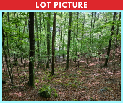 Spectacular river and mountain views * Ashe County, NC * 5 acres * Cash price $74,997 * Call or text now! 561-665-7029