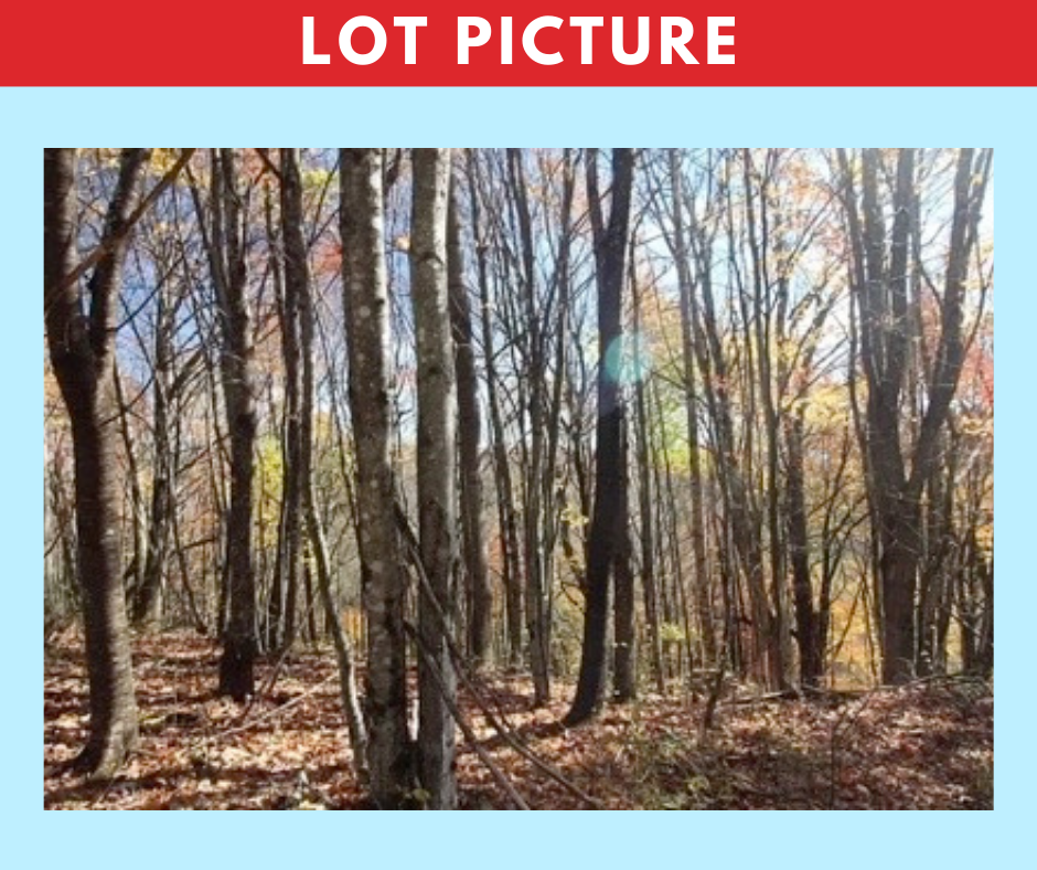 2 -Acre Semi-Improved Vacant Land in Western North Carolina - Great Opportunity in the Future!