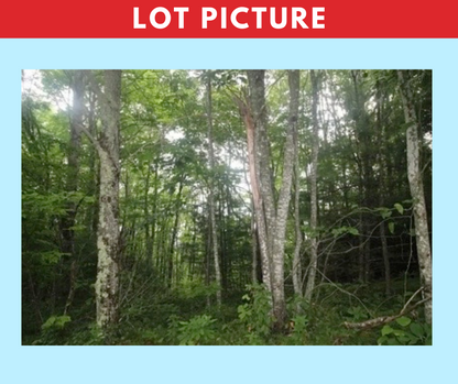 2 -Acre Semi-Improved Vacant Land in Western North Carolina - Great Opportunity in the Future!